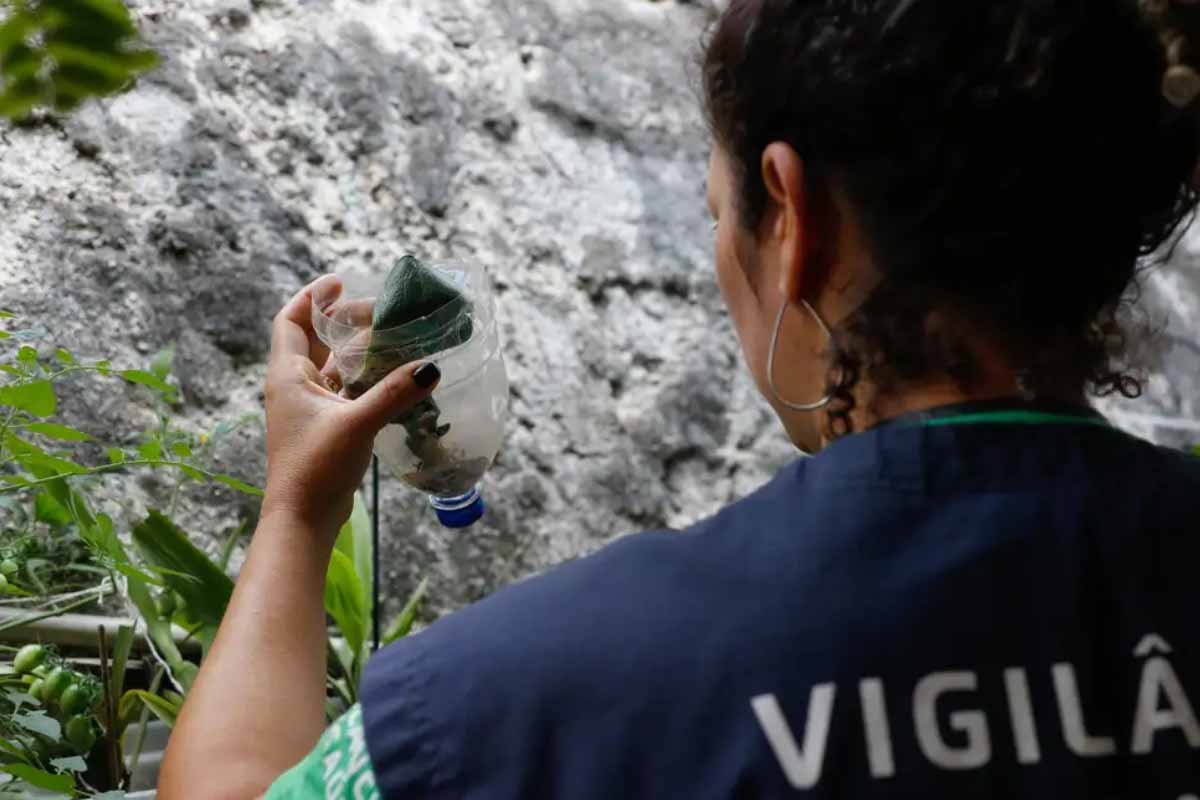 São Paulo registra 42 mortes por dengue e mais de 58 mil casos em 2026