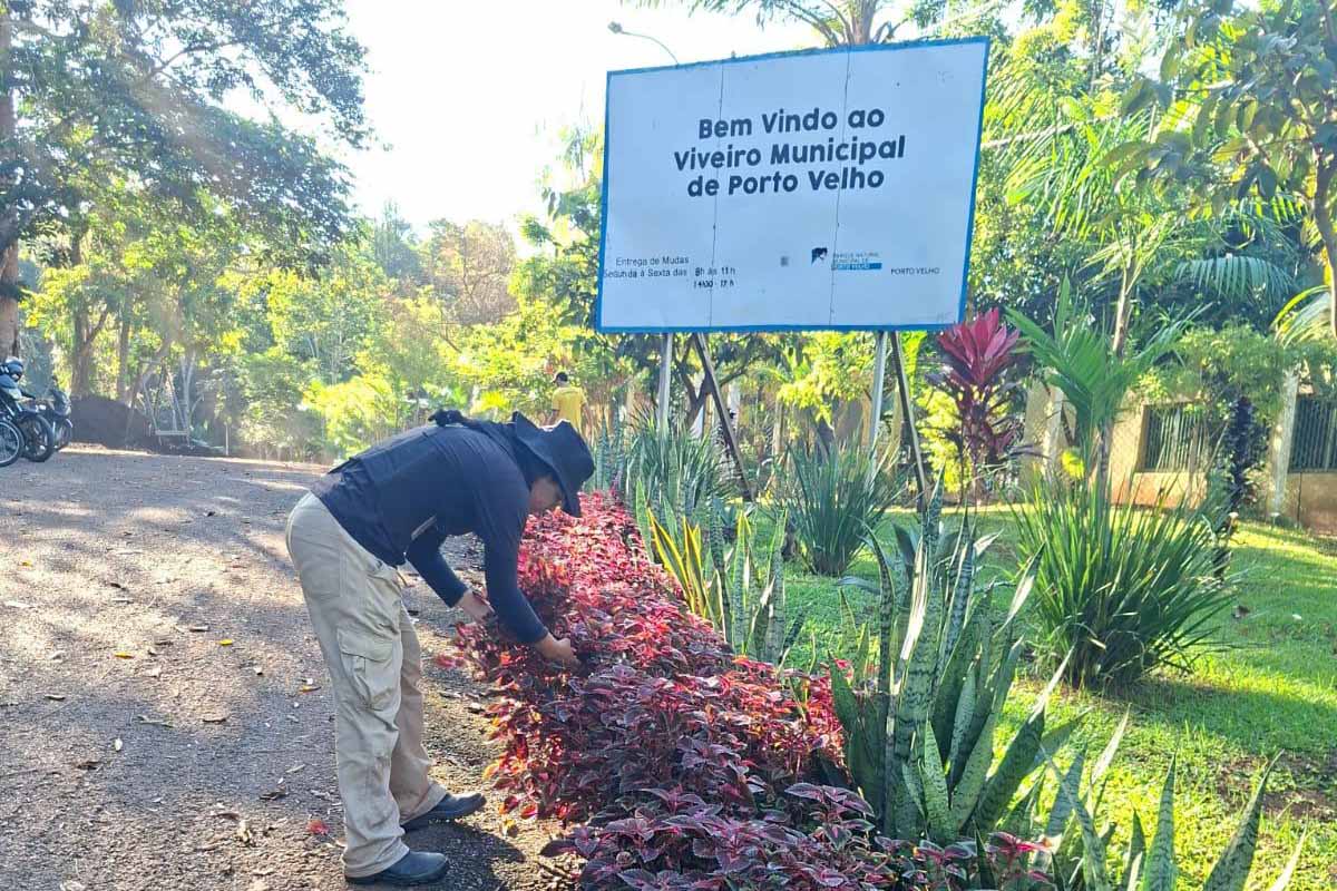 Sema mantém suspensão da distribuição de mudas até outubro em Porto Velho