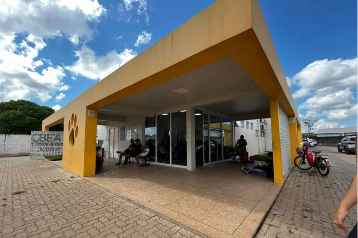 Clínica de Bem-Estar Animal suspende atendimento no feriado de 7 de setembro em Porto Velho