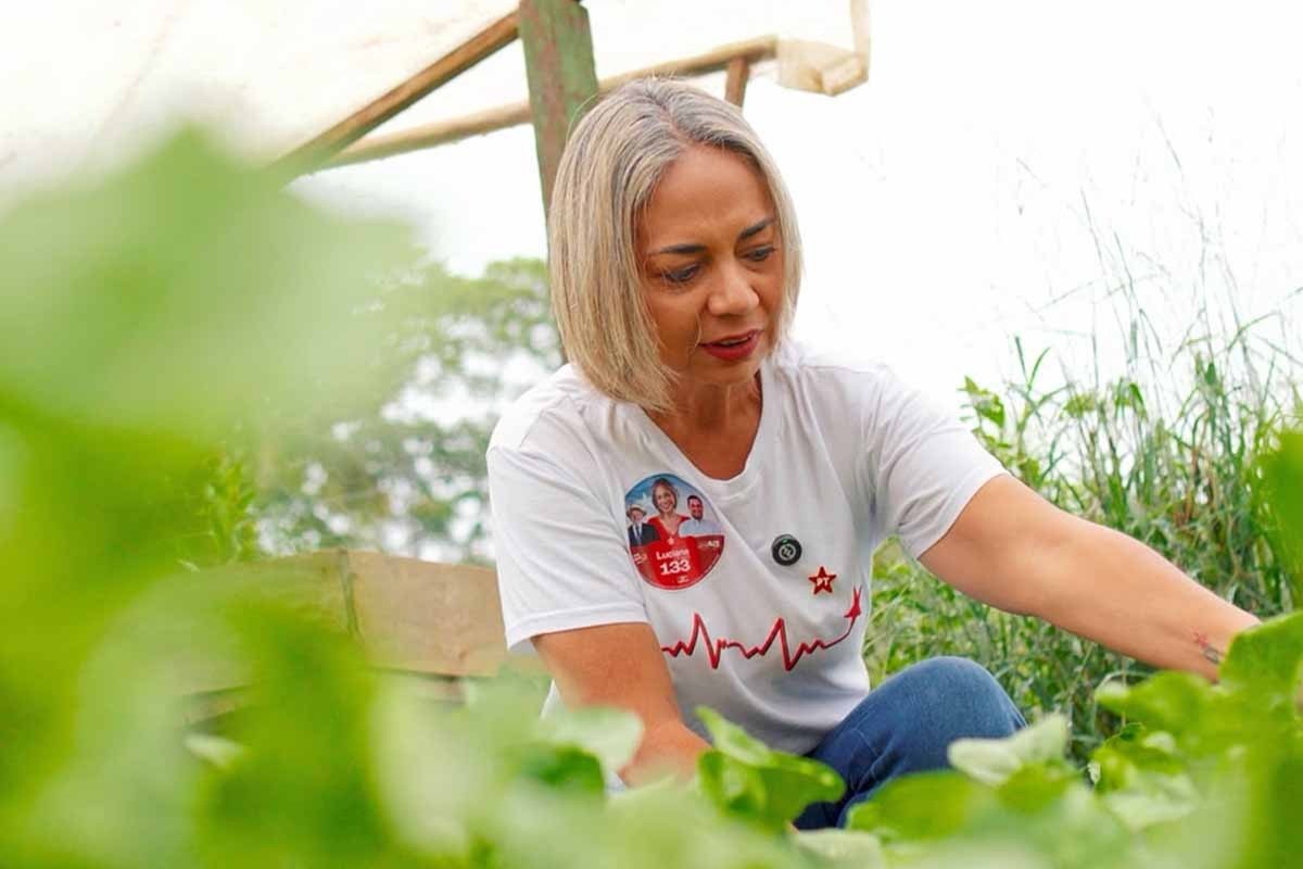 Luciana destaca retomada do PAA com Lula e aponta investimento 2.700% maior que no primeiro ano de Bolsonaro