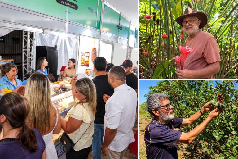 Porto Velho completa 112 anos com agro forte e um dos maiores rebanhos bovinos do Brasil