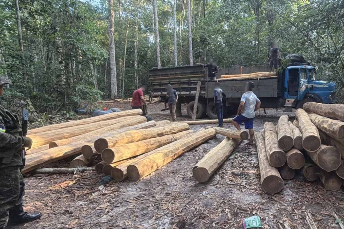 Polícia Ambiental apreende dois caminhões com mais de 20 m³ de madeira irregular em Vilhena
