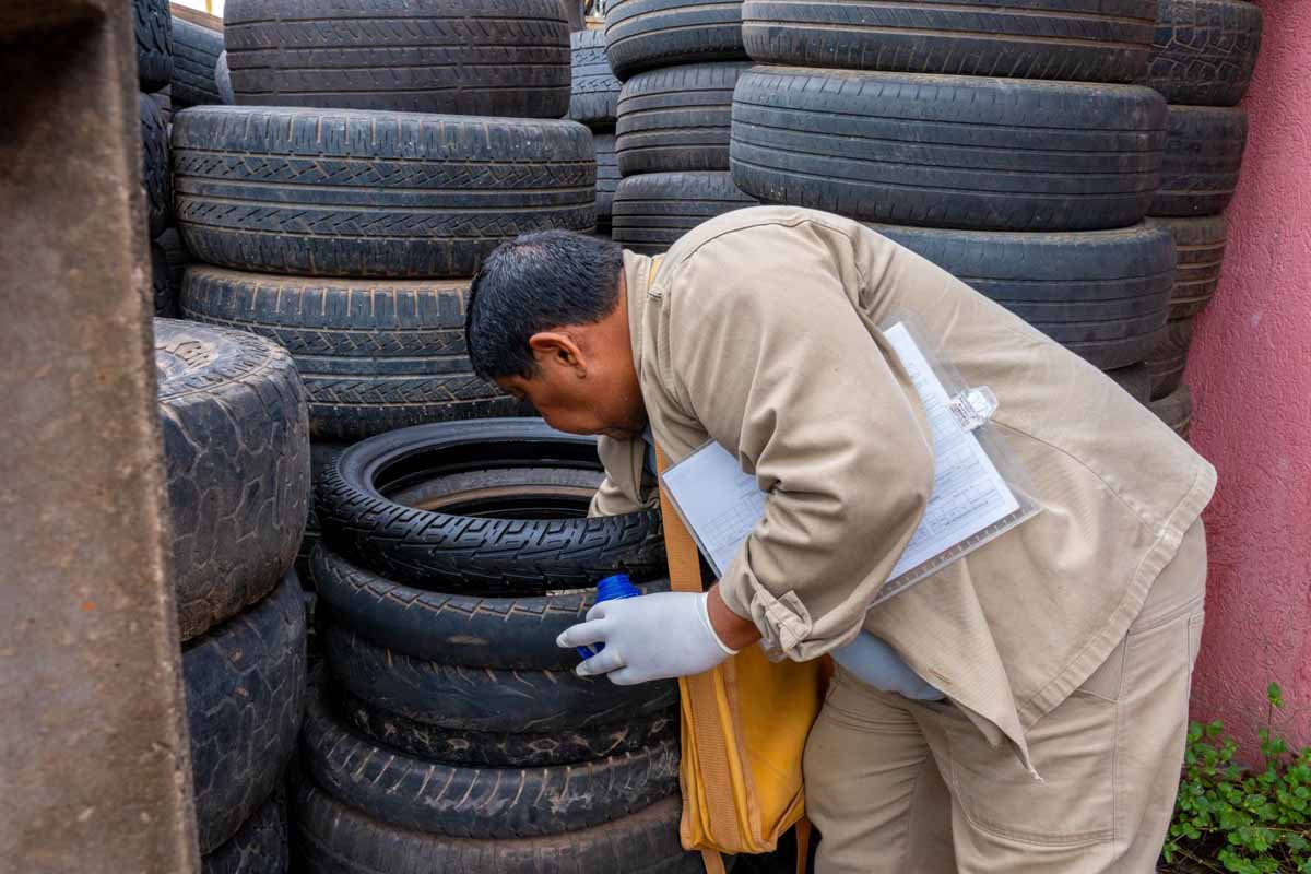 Porto Velho apresenta queda nos casos de dengue em 2026, mas segue com risco médio de infestação