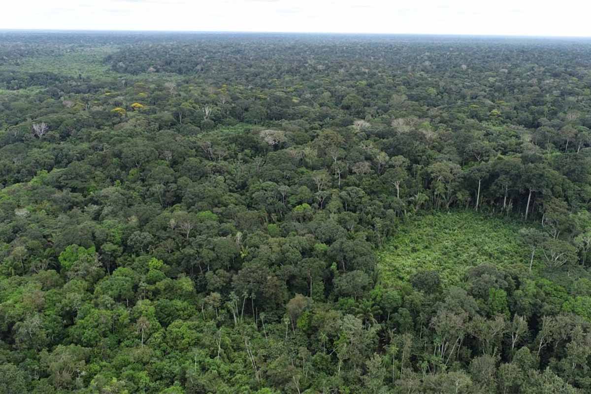 MPRO intensifica combate a crimes ambientais em Rondônia com tecnologia e operações integradas