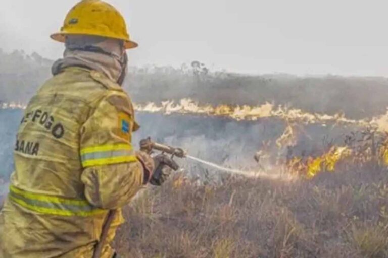 Governo investiga possível ação organizada em incêndios no Amazonas e abre 120 procedimentos