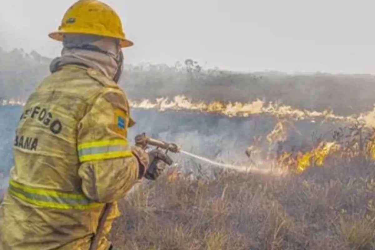 Governo investiga possível ação organizada em incêndios no Amazonas e abre 120 procedimentos