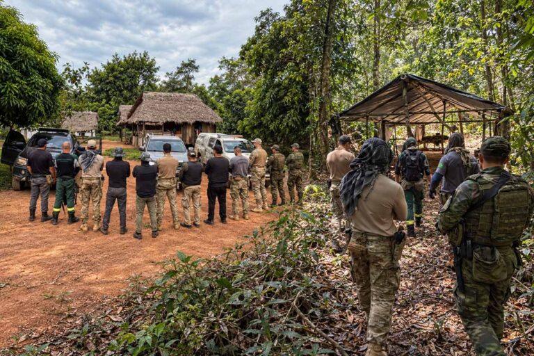 PF destrói estruturas usadas na extração ilegal de madeira em terra indígena de Rondônia
