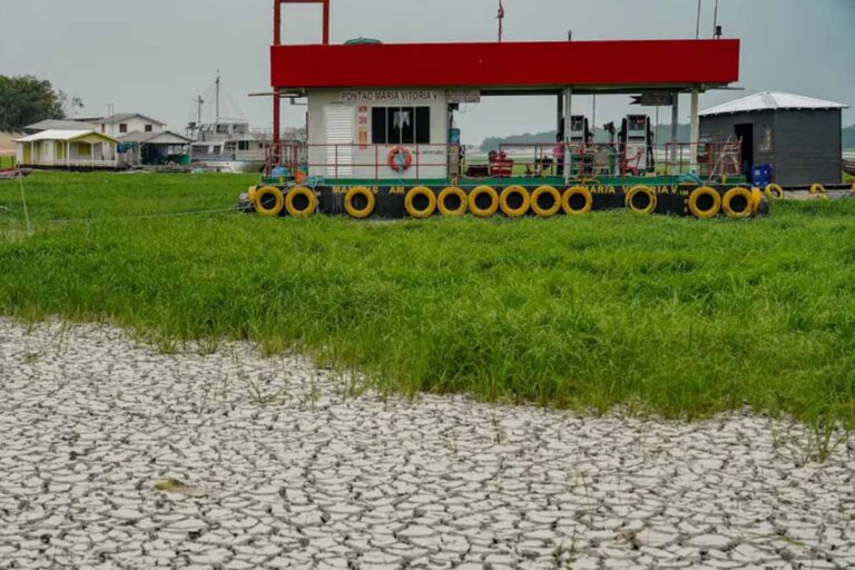 Campanha busca arrecadar 23,4 toneladas de alimentos para comunidades afetadas pela seca no Amazonas