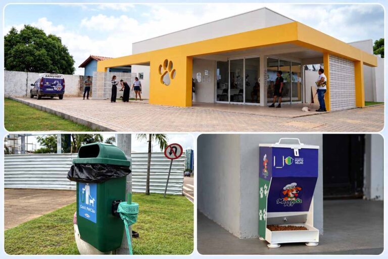 Porto Velho prevê instalar 50 novos comedouros e ampliar abrigos para gatos e lixeiras PET