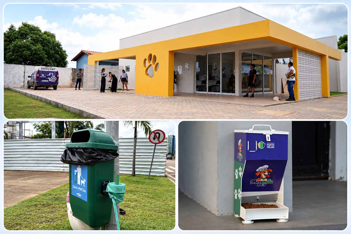 Porto Velho prevê instalar 50 novos comedouros e ampliar abrigos para gatos e lixeiras PET