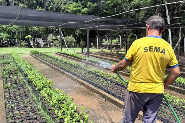 Viveiro Municipal retoma distribuição de mudas em Porto Velho com limite de 50 por CPF