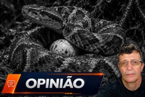 O ‘ovo da serpente’ vai chocar?